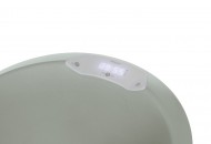 Bad Sense Edition Sky Green