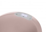 Bad Sense Edition Mellow Rose