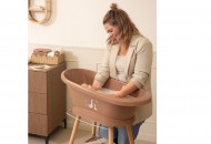 Bad Sense Dear Goose