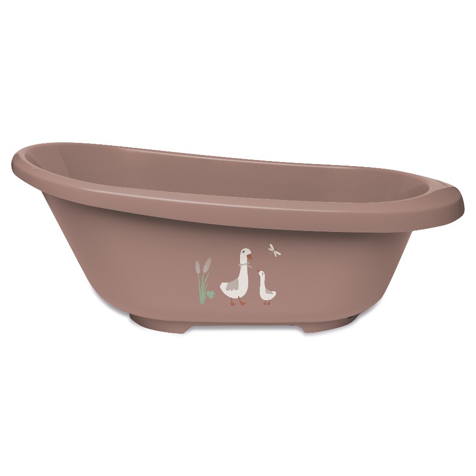 Afb: Bad Sense - Bad Sense Dear Goose